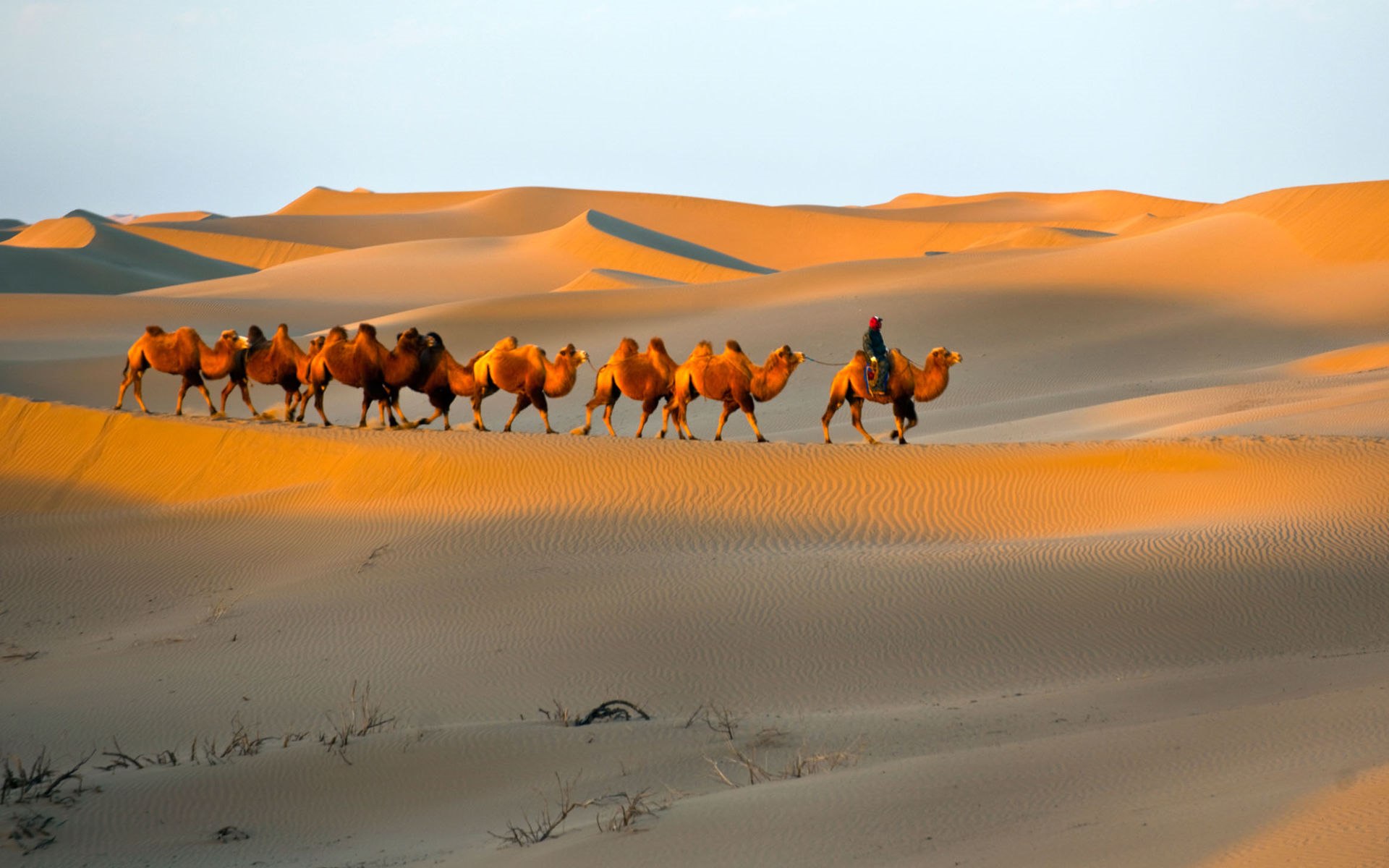 THE SILK ROAD