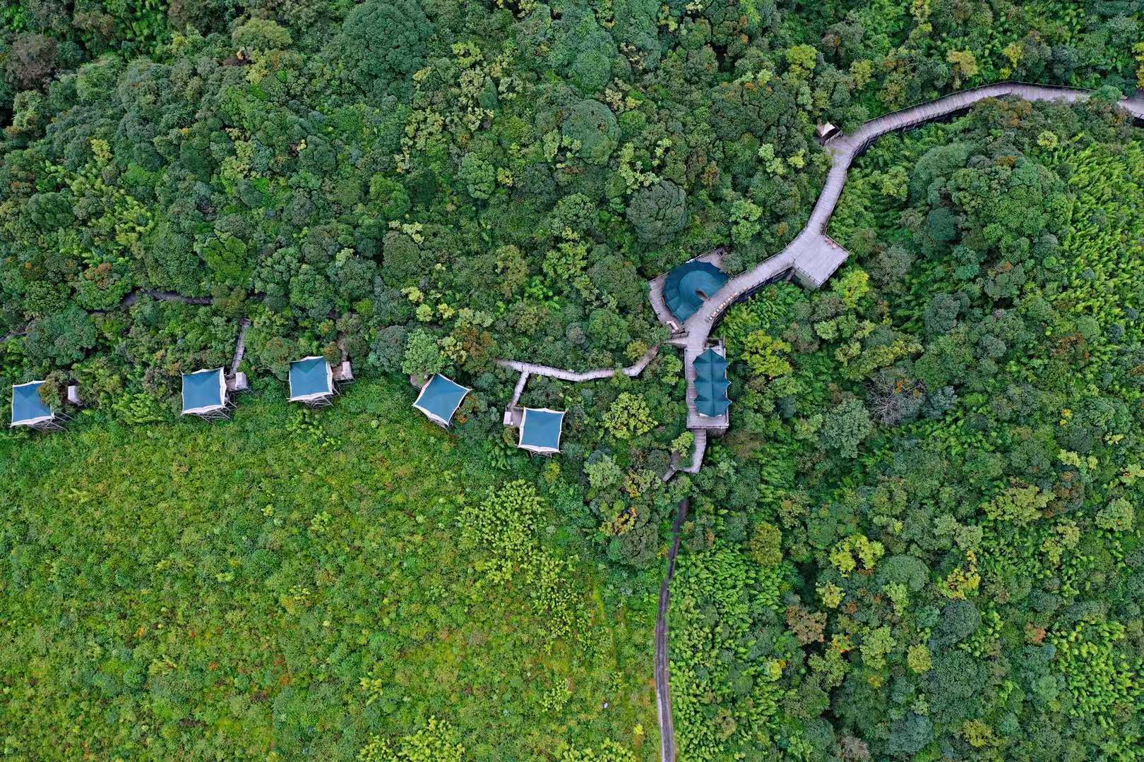Vinetree Tented Resort Gaoligong